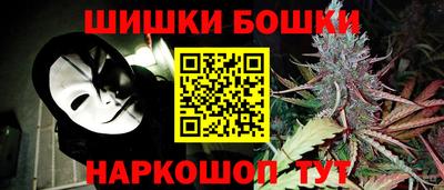 МДПВ Партизанск