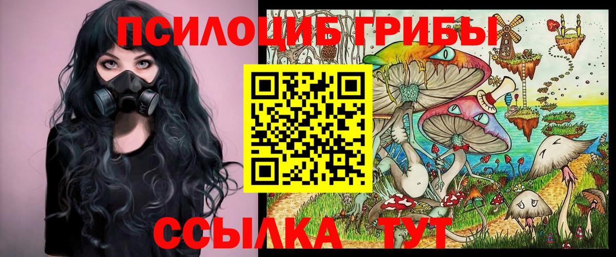 Галлюциногенные грибы прущие грибы  Вход с VPN  Чайковский 